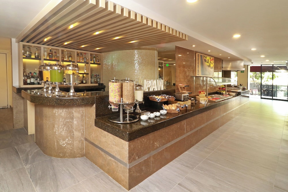 Holiday Inn & Suites Guadalajara Centro Historico 9/50