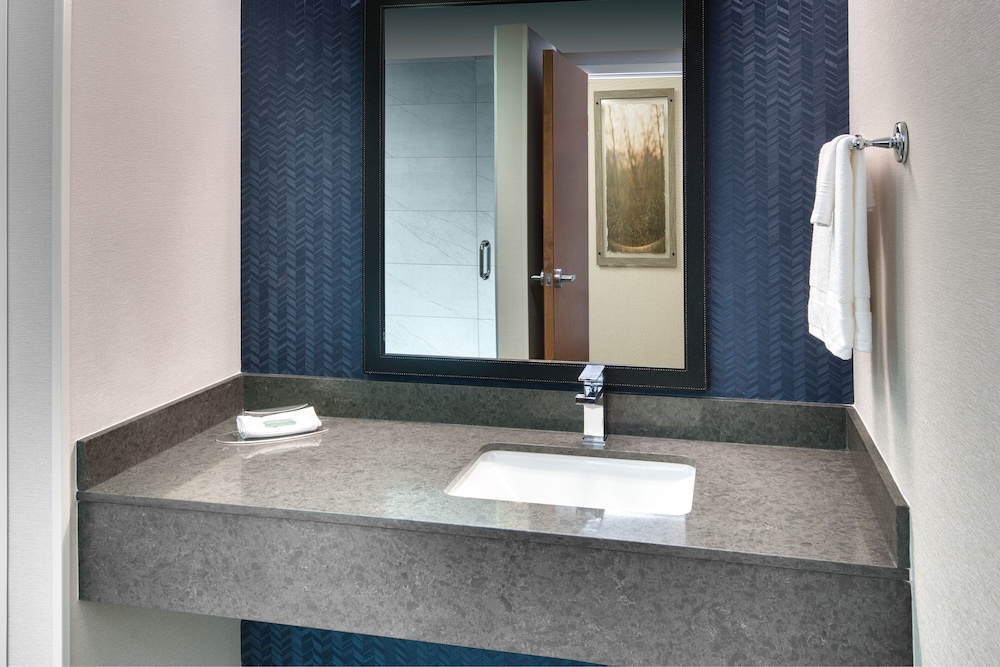 جناح بسرير كينج بغرفة نوم واحدة مع أريكة، Fairfield Inn And Suites By Marriott Toronto Brampton 2/2