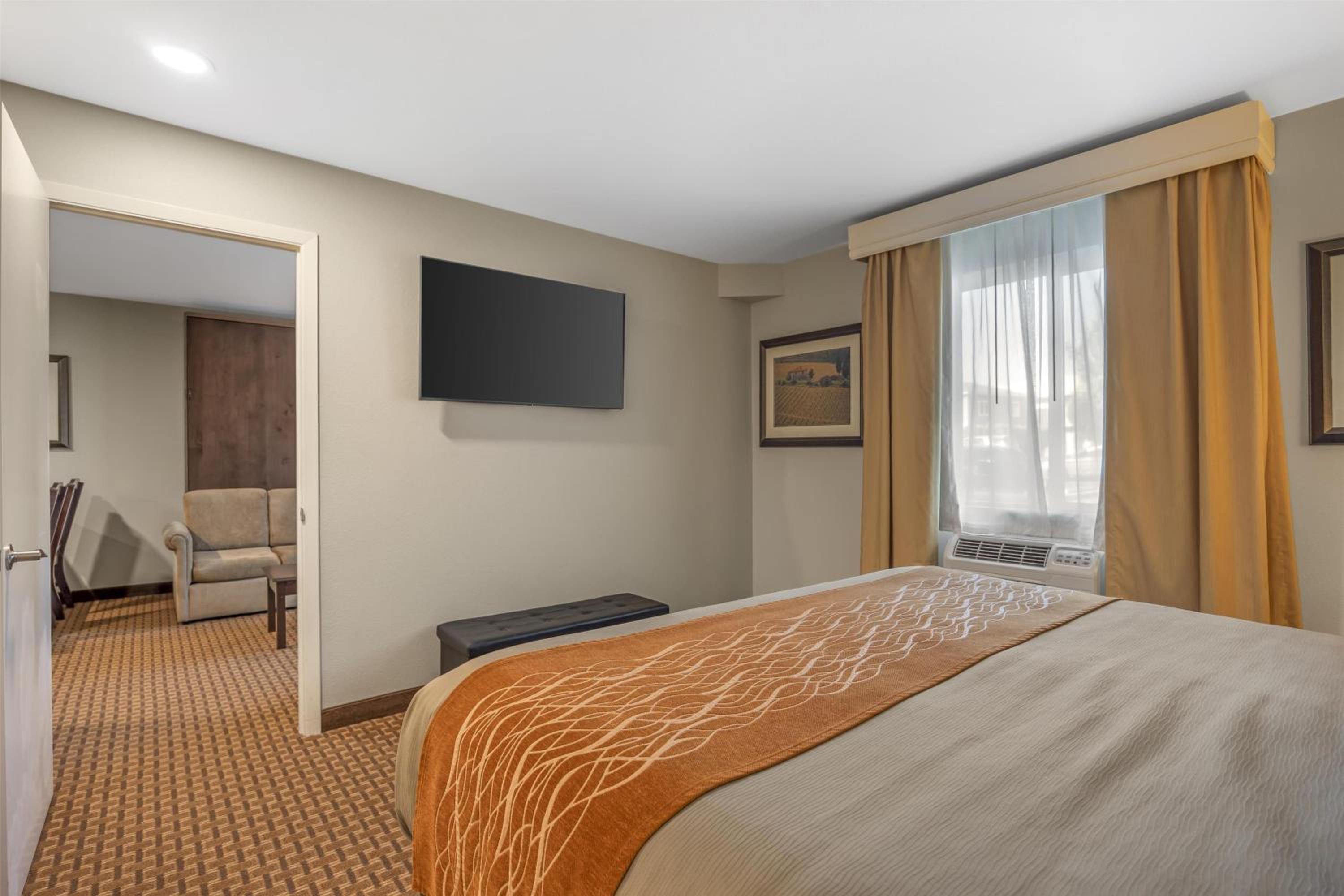 Suite, King Bed, Murphy Bed, Living Area