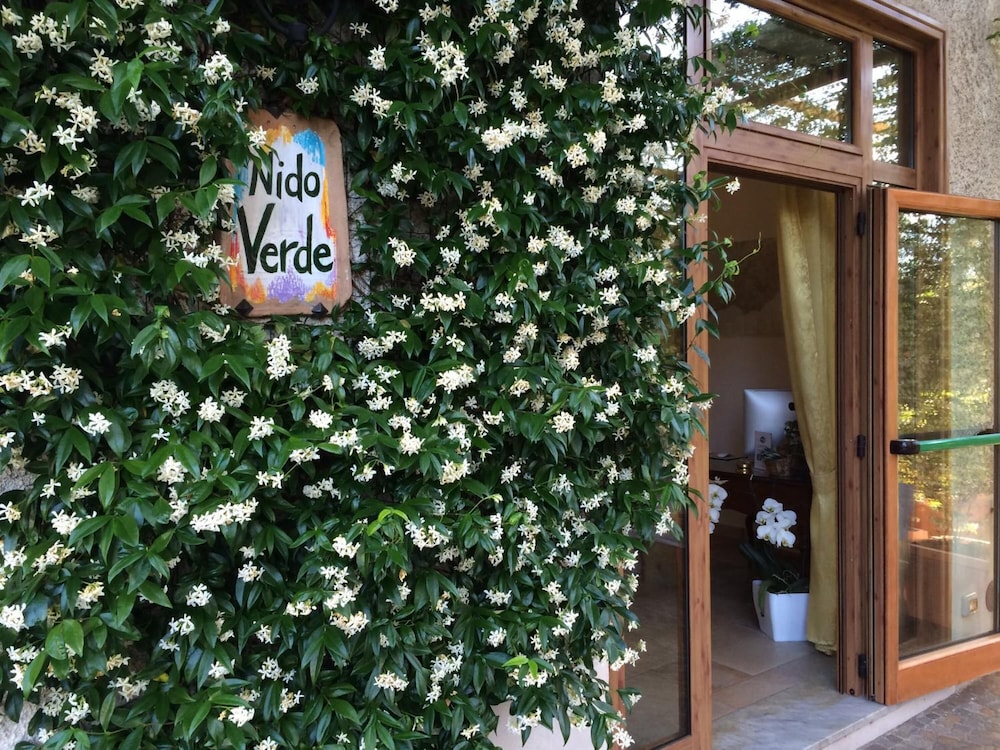 Nido Verde Hotel 65/72