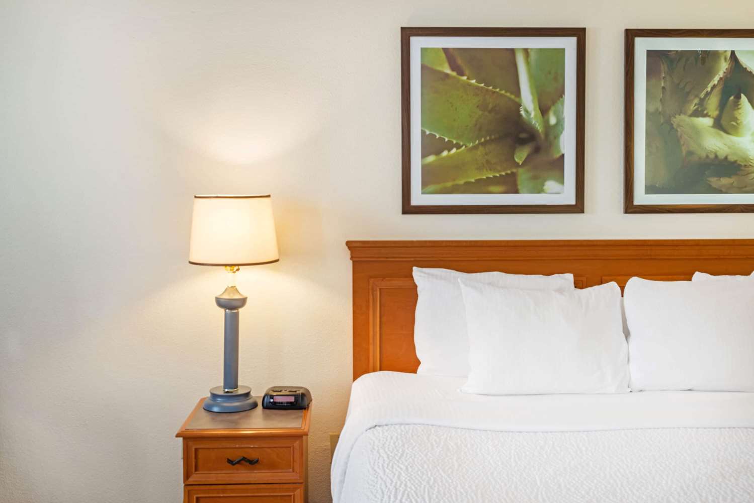 La Quinta Inn And Suites By Wyndham Tampa Brandon West 33/53