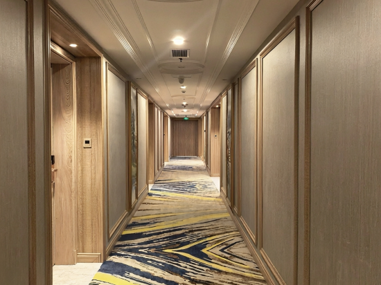Vienna International Hotel (Mianyang High Speed Railway Station) 35/49