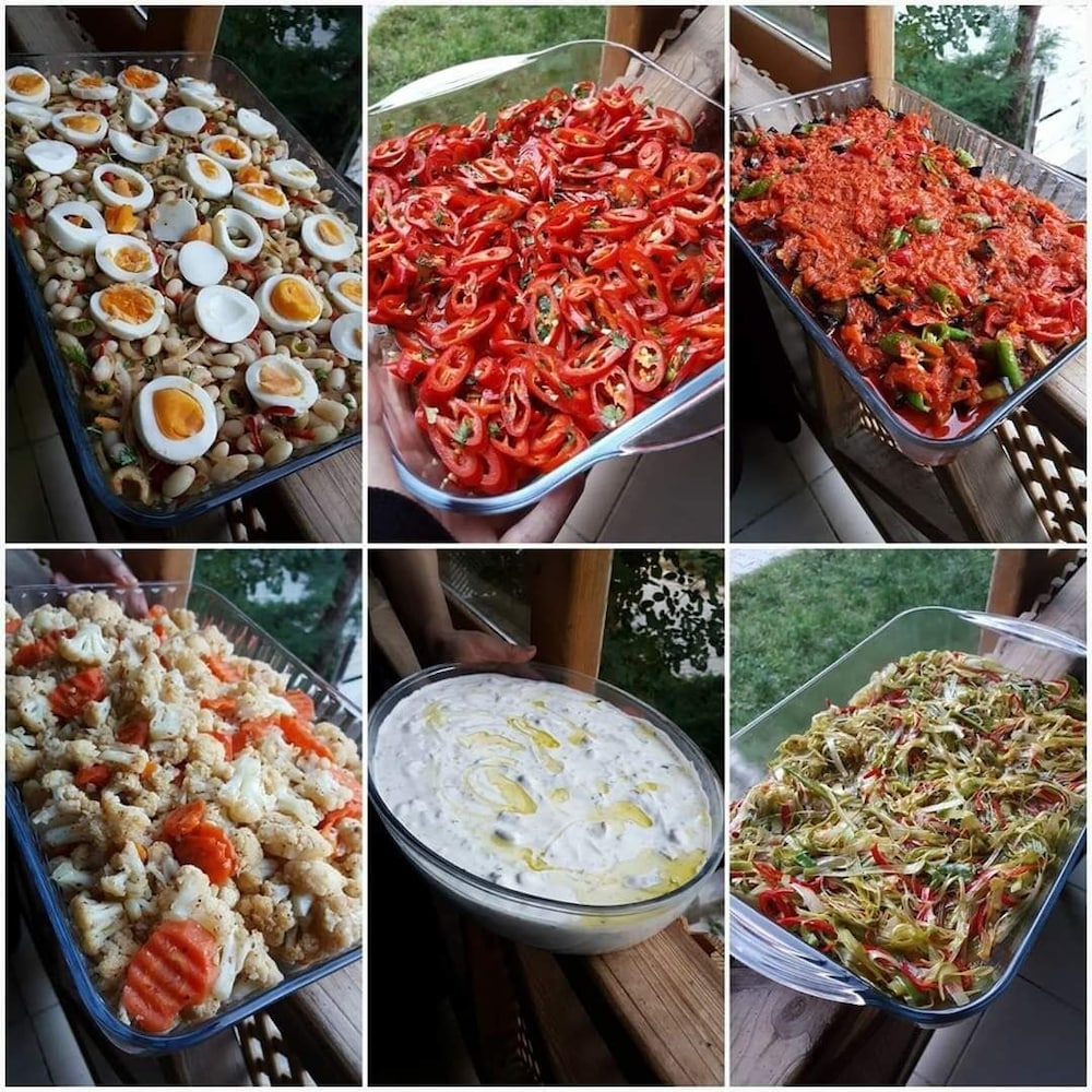 Vegke Kutuk Evleri 5/35