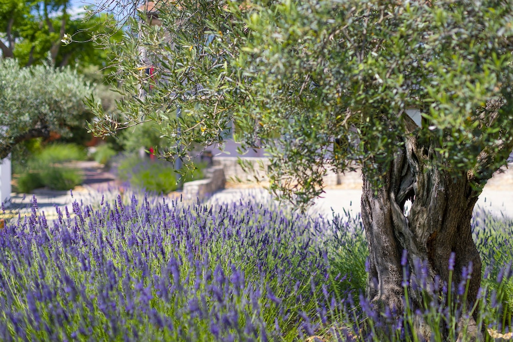 Terre de Provence Hotel and Spa 65/68