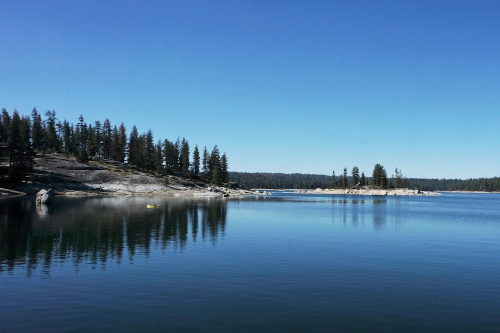 Shaver Lake Village Hotel 43/50