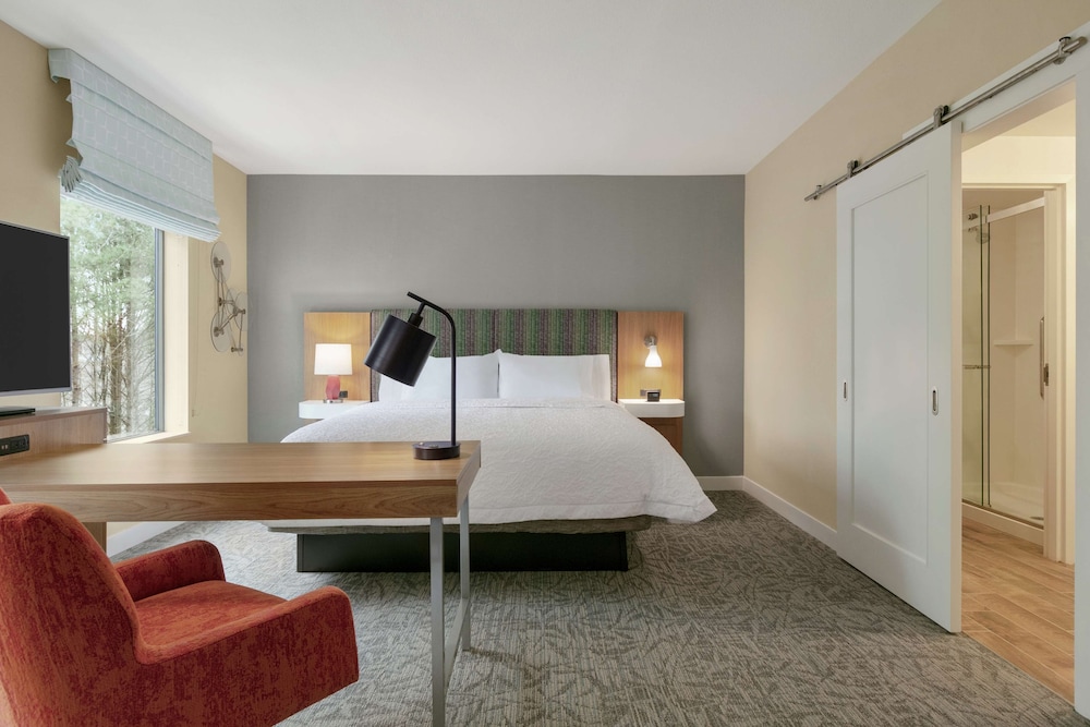 Hampton Inn Suites Johns Creek 11/47