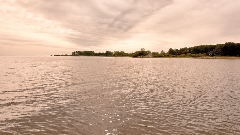 surroundings