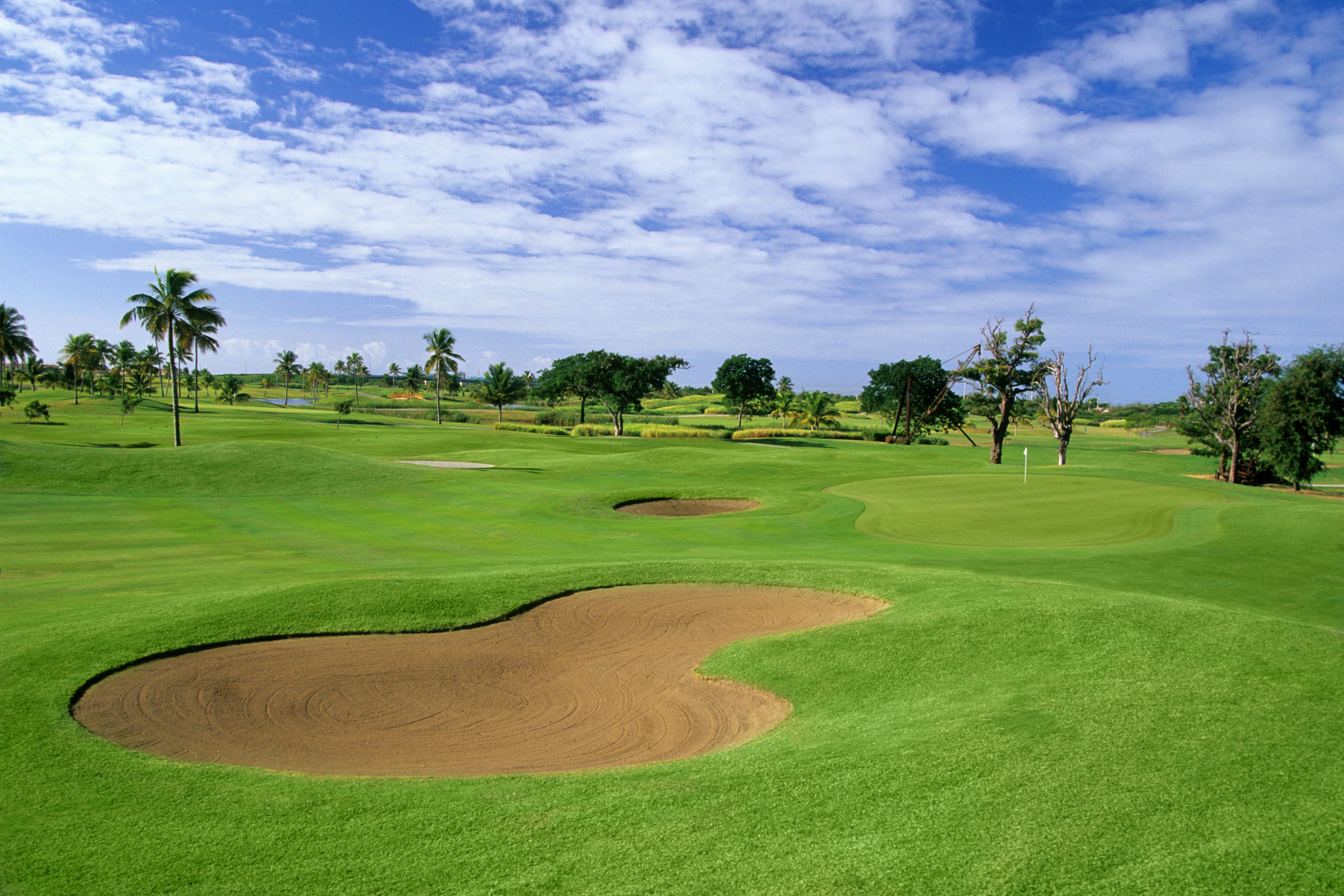 Hilton Ponce Golf & Casino Resort 7/50