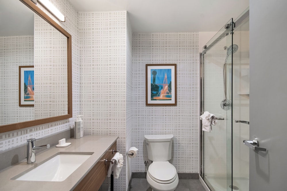 Hampton Inn & Suites by Hilton Irving DFW Airport North 50/56