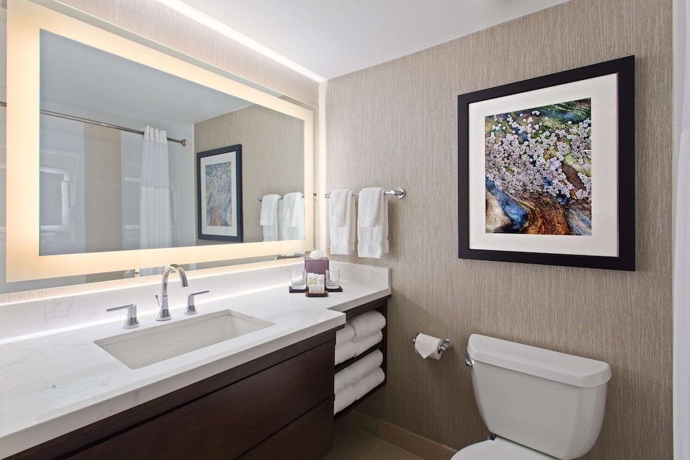 Embassy Suites by Hilton Orlando International Drive Convention Center 14/49