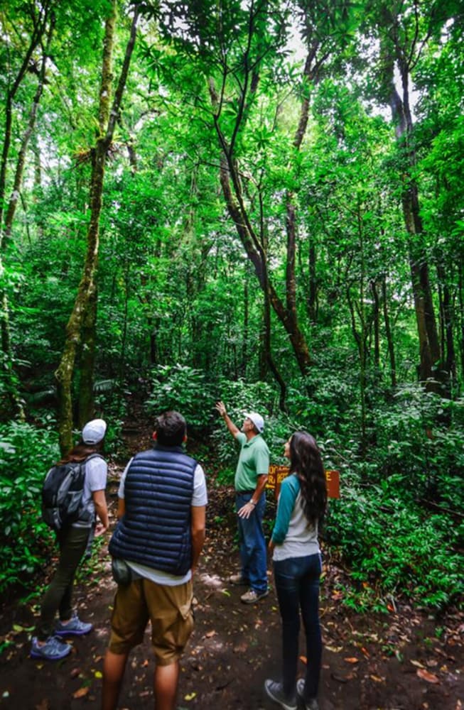 Monteverde Cloud Forest Lodge 41/47