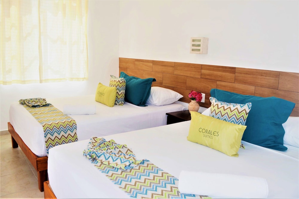 Corales Suites 13/50