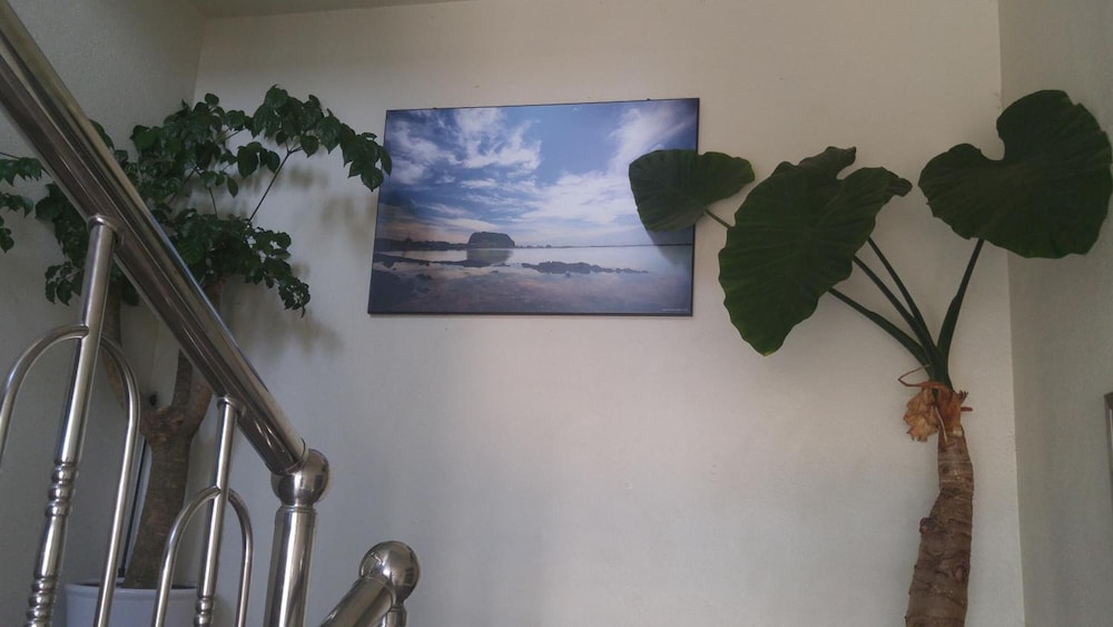 Sea Dragon Pension 18/37