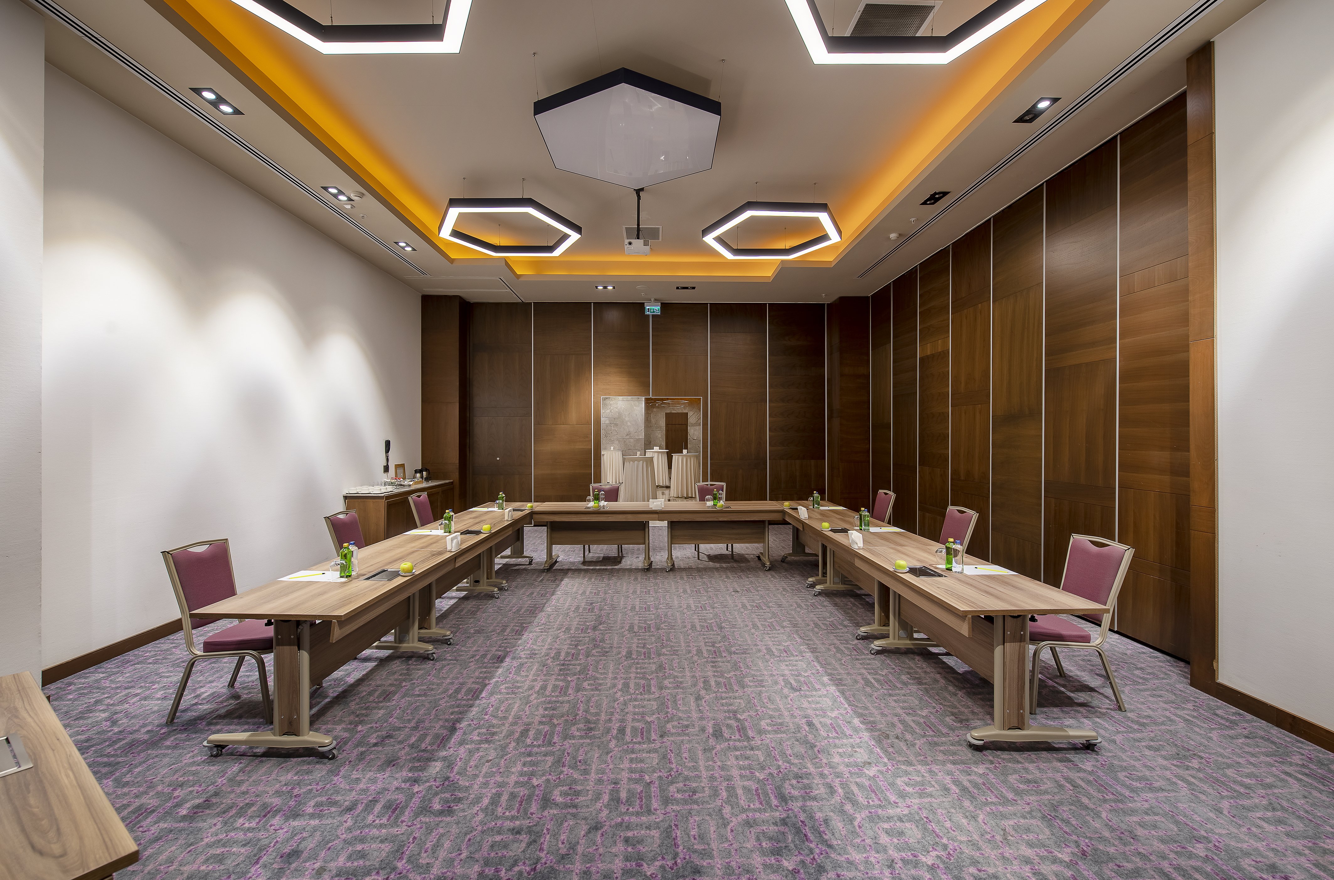 HOLIDAY INN KAYSERI - DUVENONU 32/62