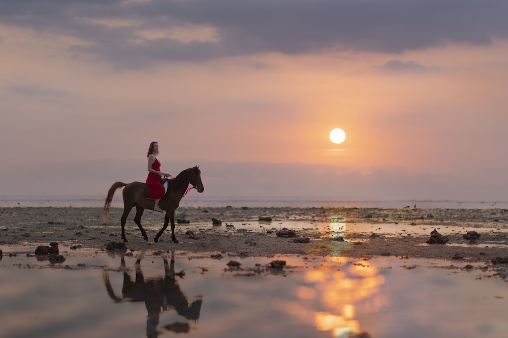 Kardia Resort Gili A Pramana Experience 32/45
