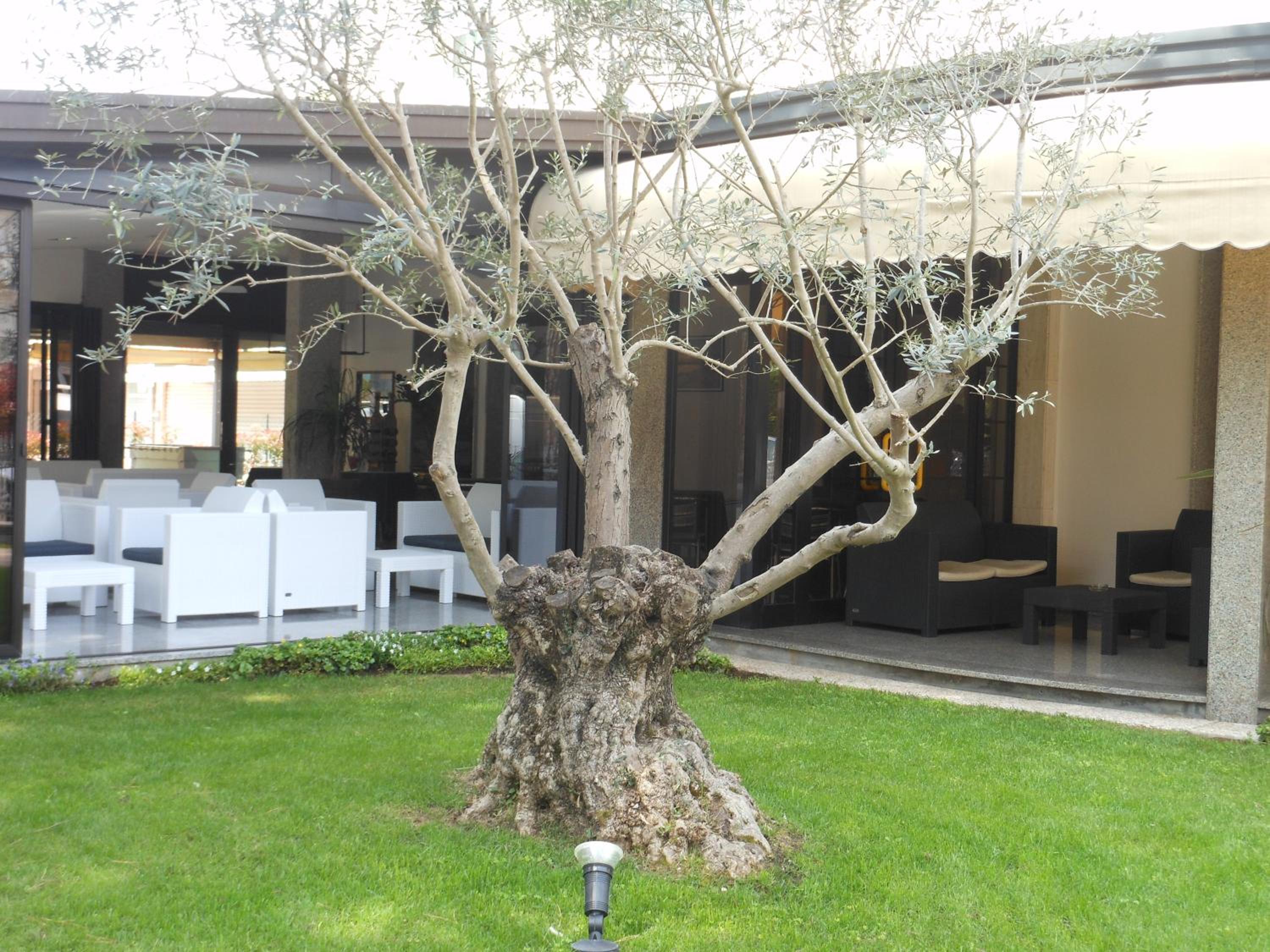 HOTEL JESOLO SAND 48/53