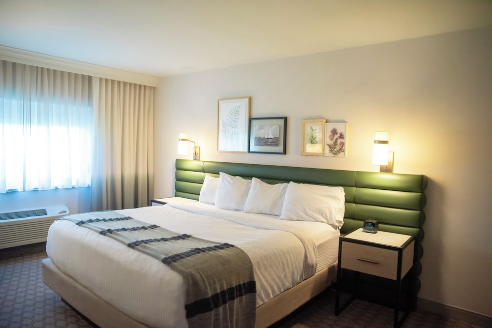 The Ingleside Hotel 8/45