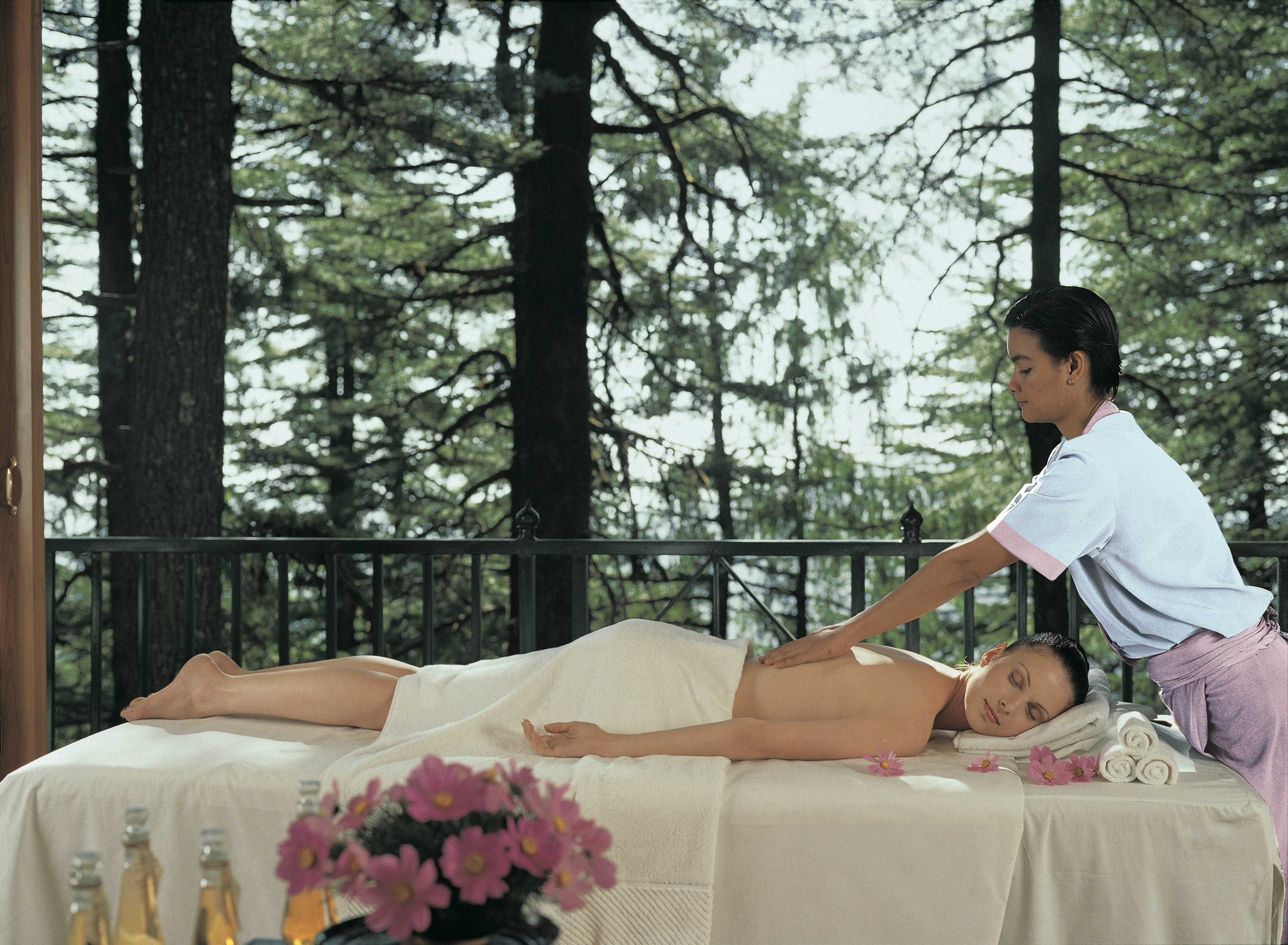 Wildflower Hall, An Oberoi Resort, Shimla 26/63