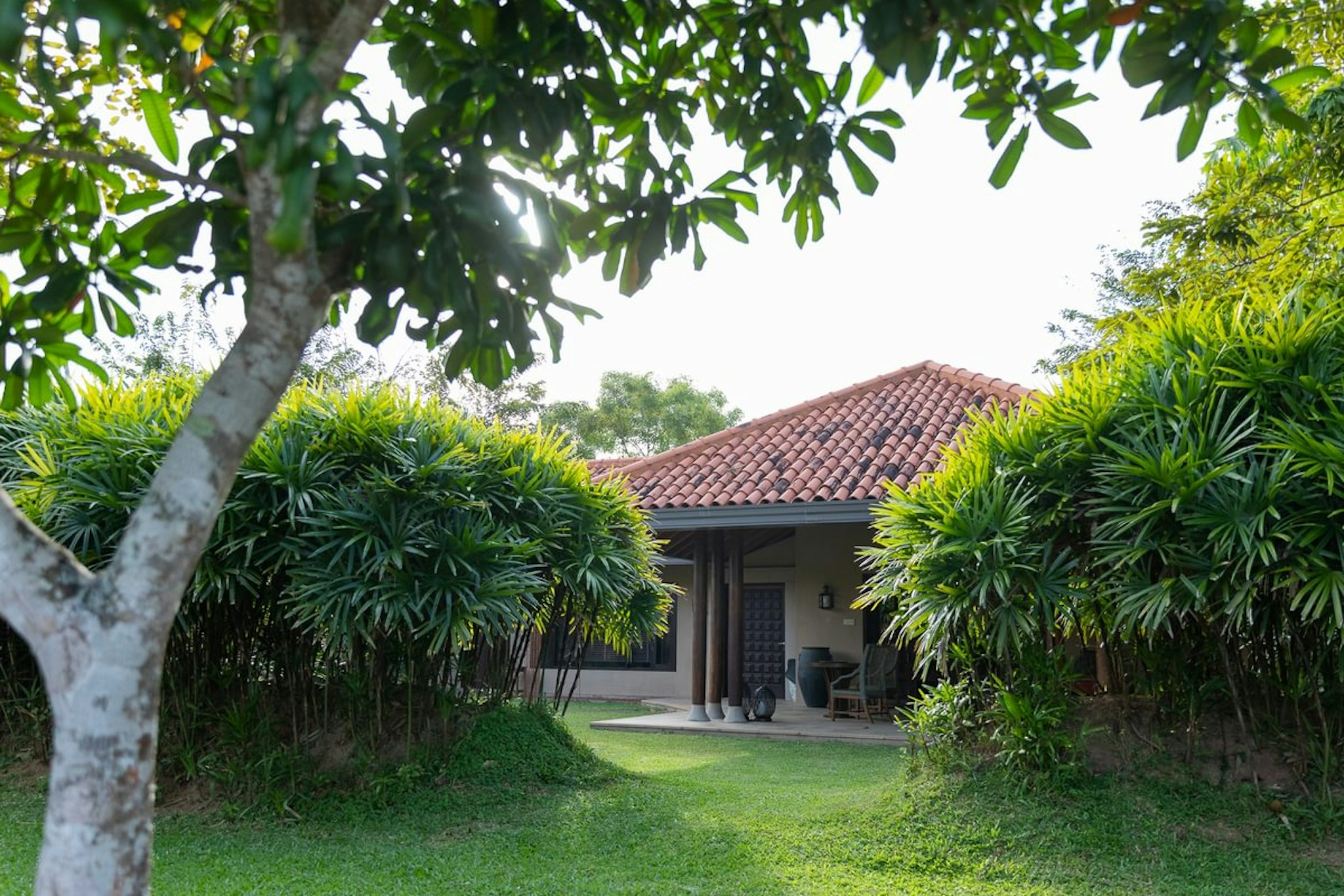 Cape Weligama 62/72