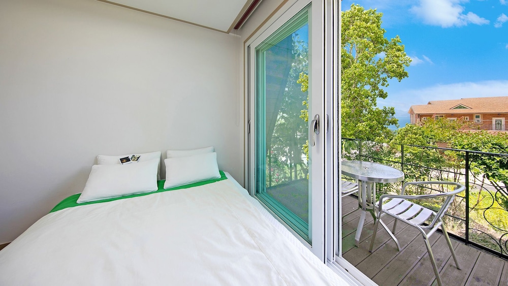 Hanulbora Pension 12/50