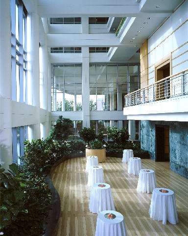 swimming pool spa
