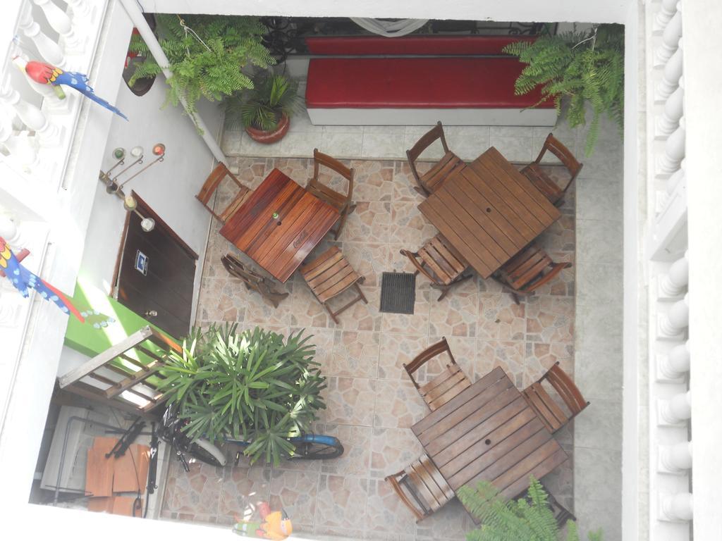 Patio de Getsemani 19/50
