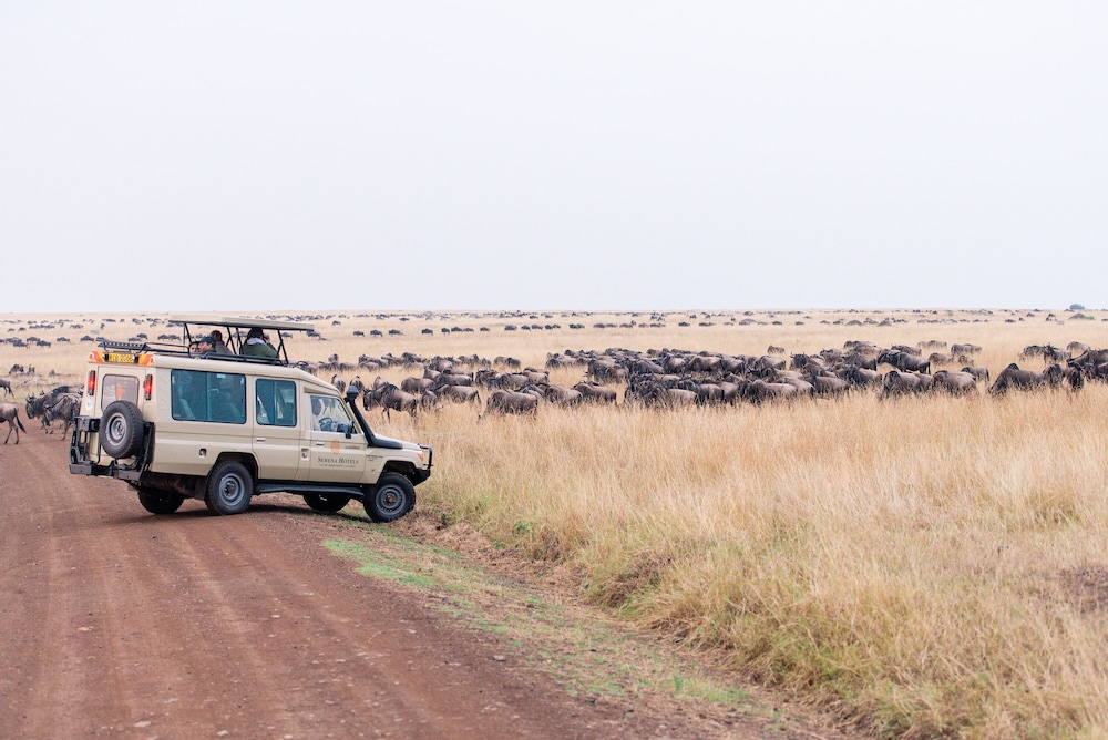 Mara Serena Safari Lodge 27/77