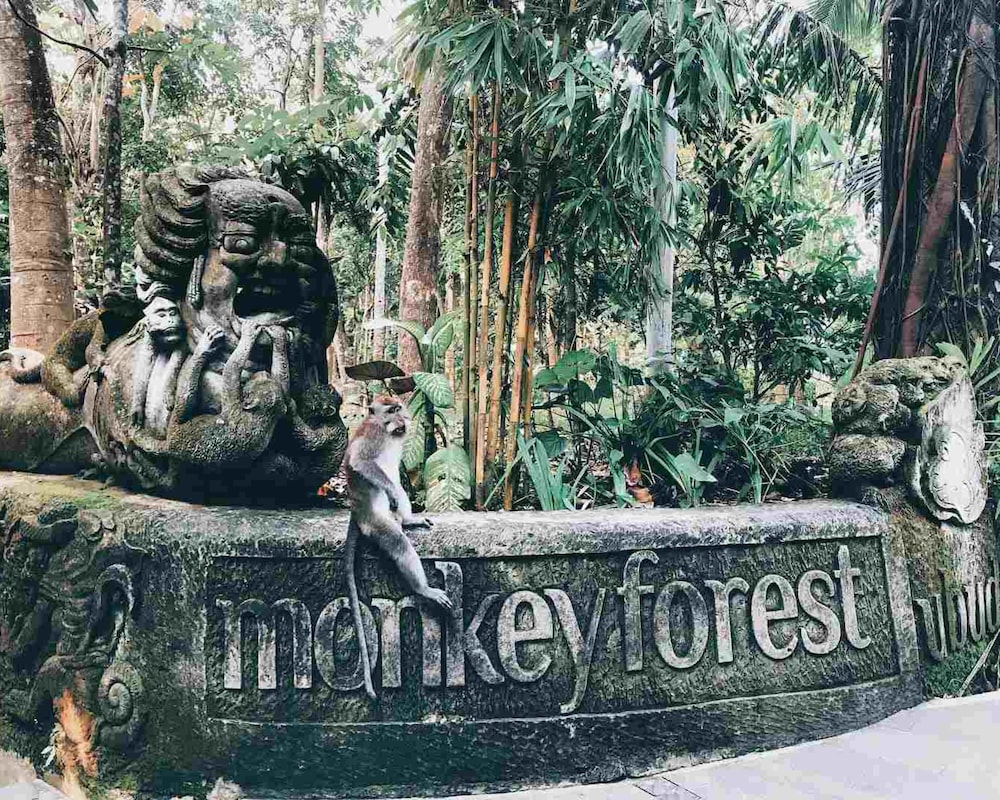 Menzel Ubud 11/79