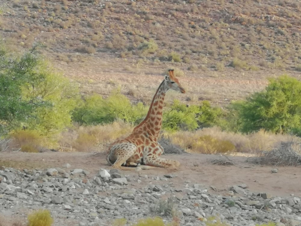 Sanbona Wildlife Reserve 32/50