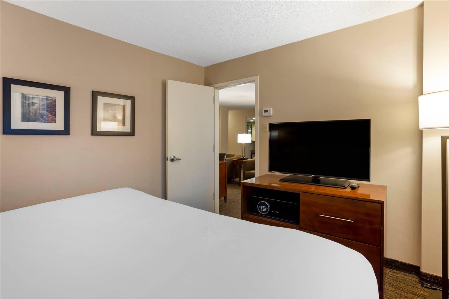Comfort Inn and Suites Presidential 8/33