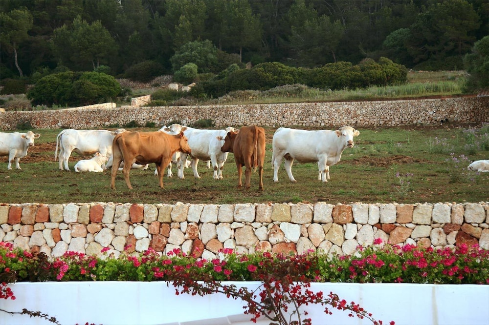 Rusticae Agroturismo Finca Atalis 16/26