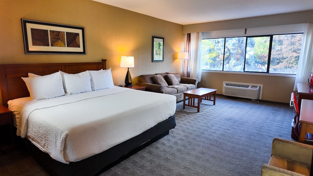 BUSINESS, KING BED