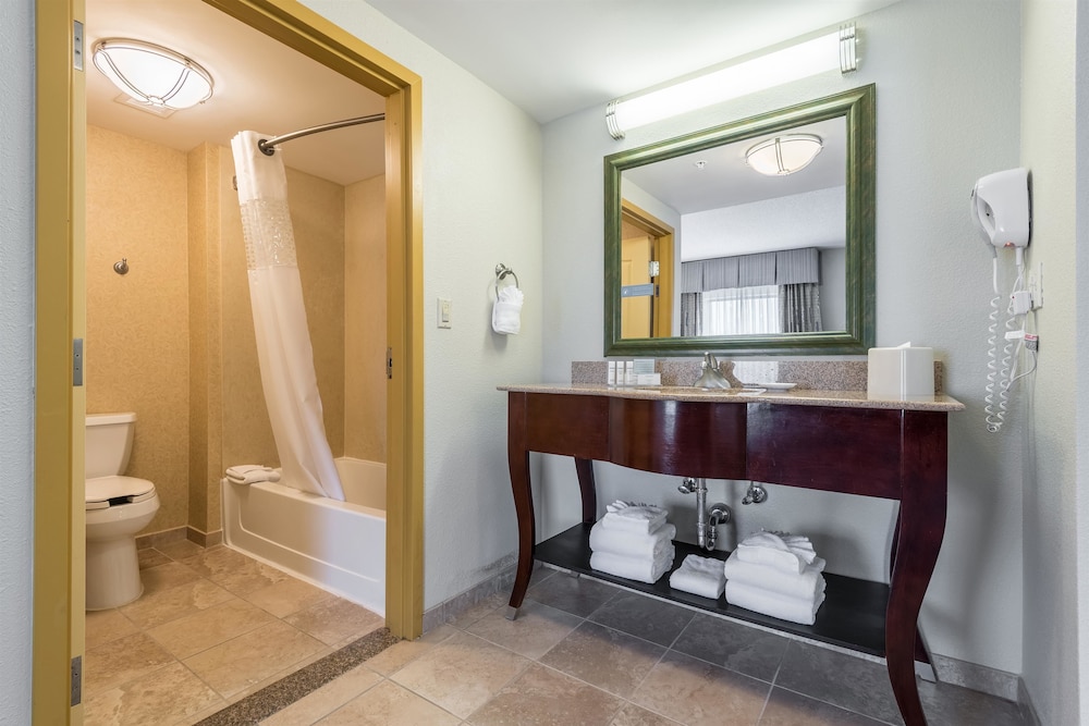 Hampton Inn & Suites Orlando-South Lake Buena Vista 32/49