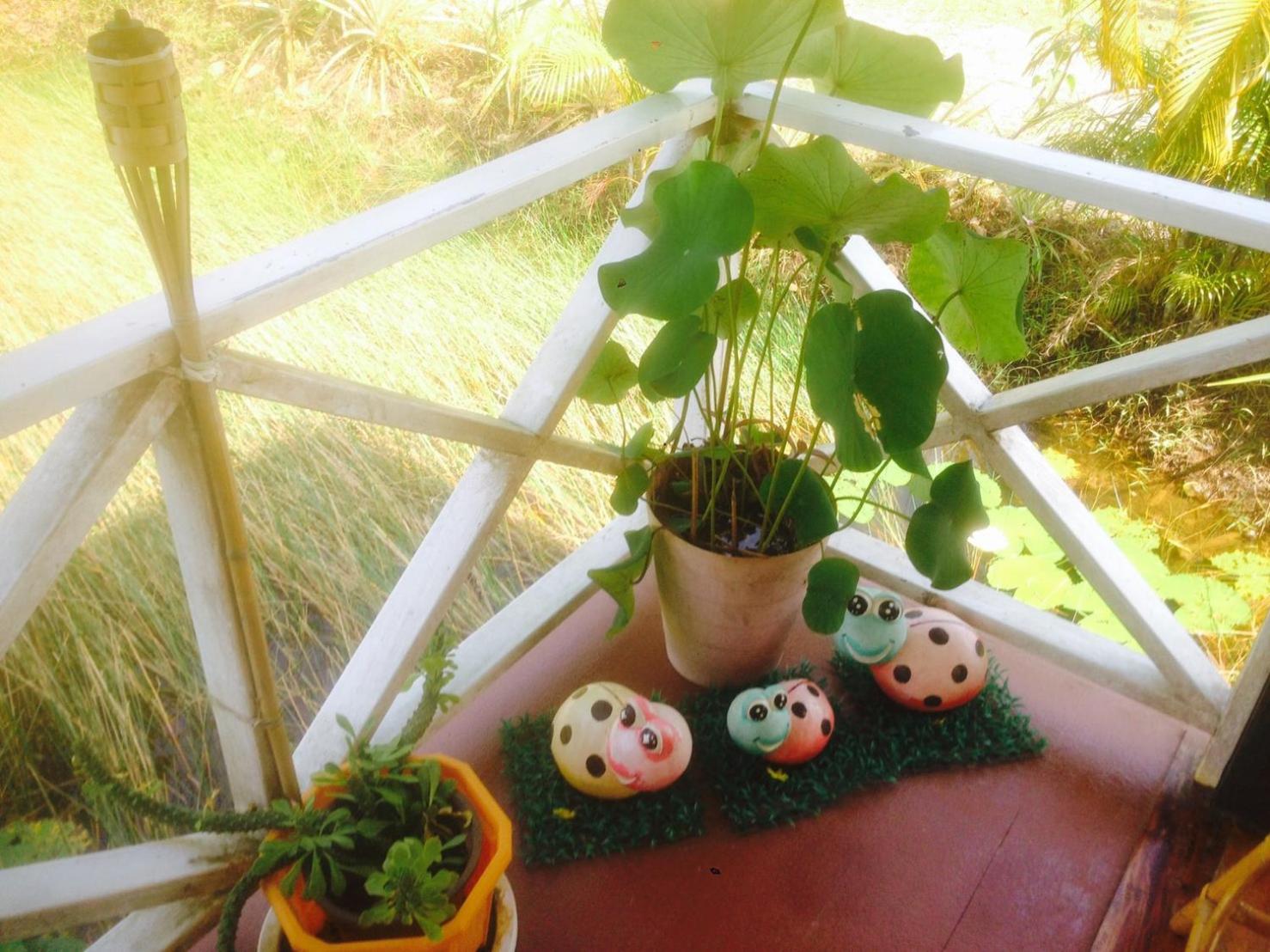Ariya Garden Home 41/69