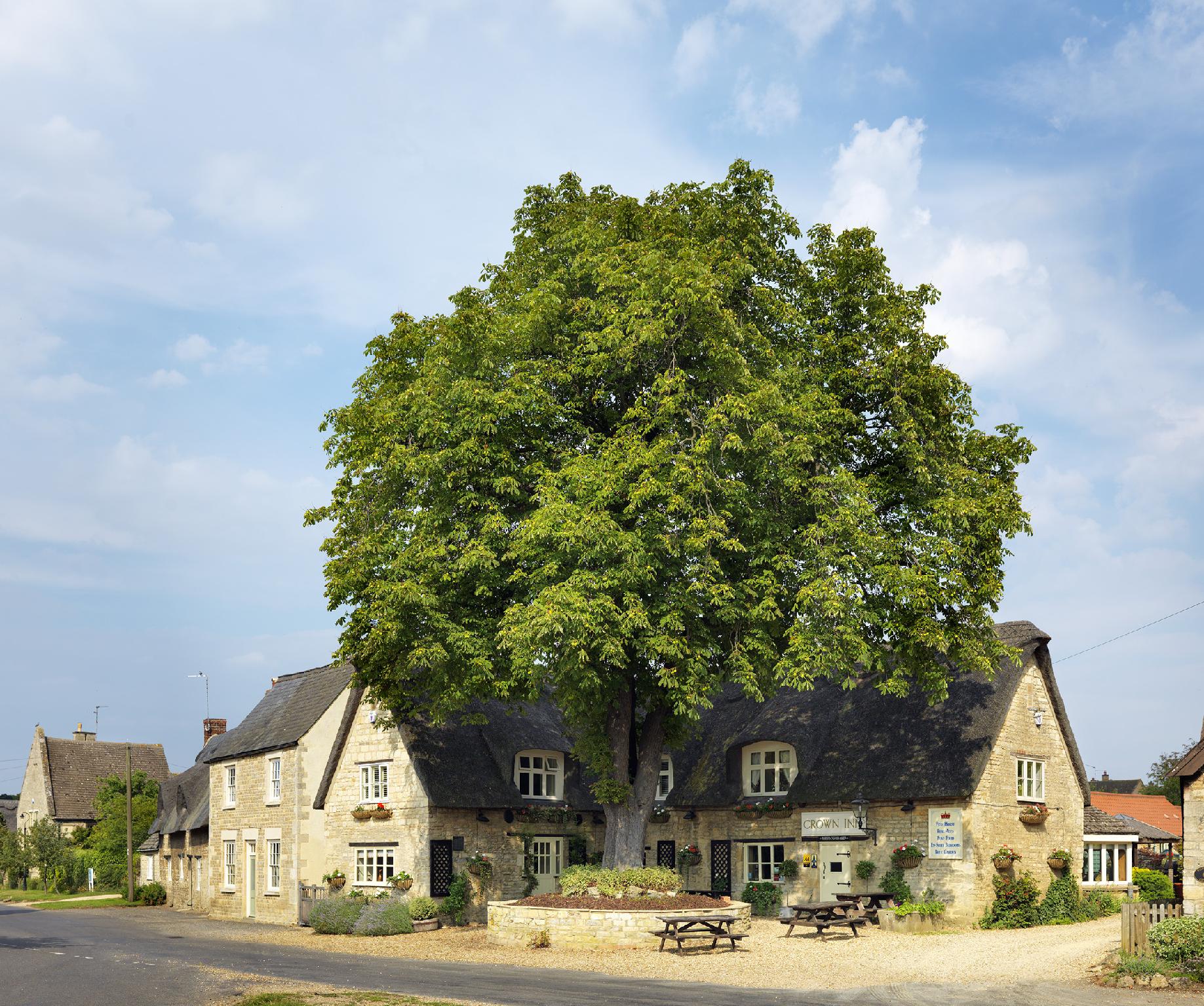Stamford