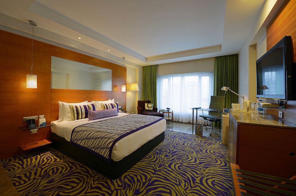 Radisson Blu Hotel Ahmedabad 19/71