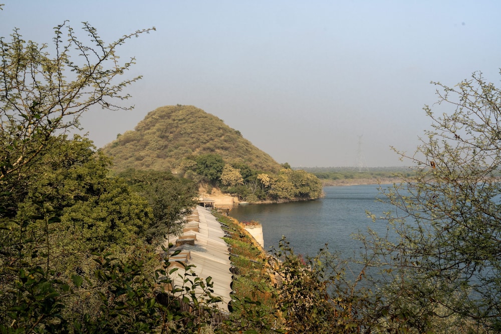 RAAS Chhatrasagar 43/50