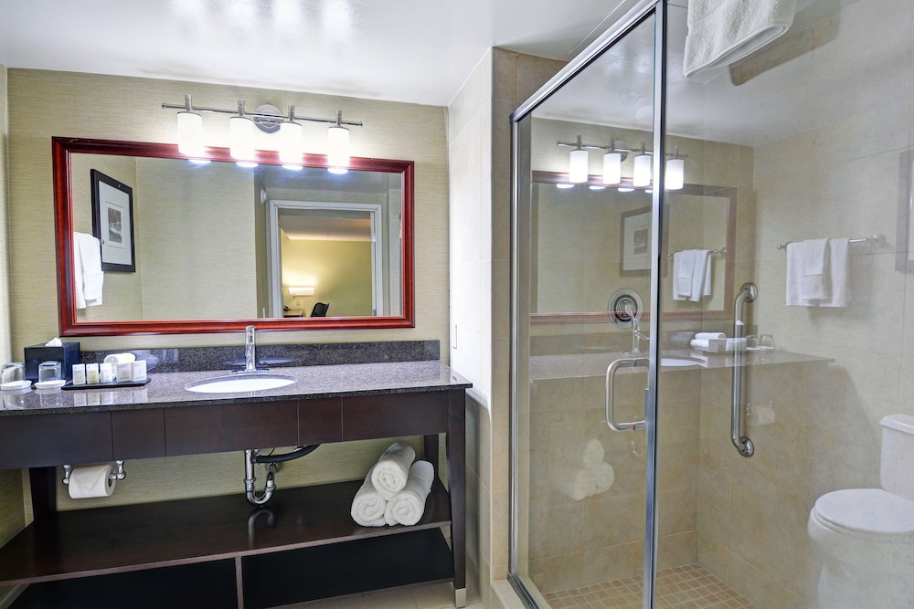 Embassy Suites Valencia 14/58