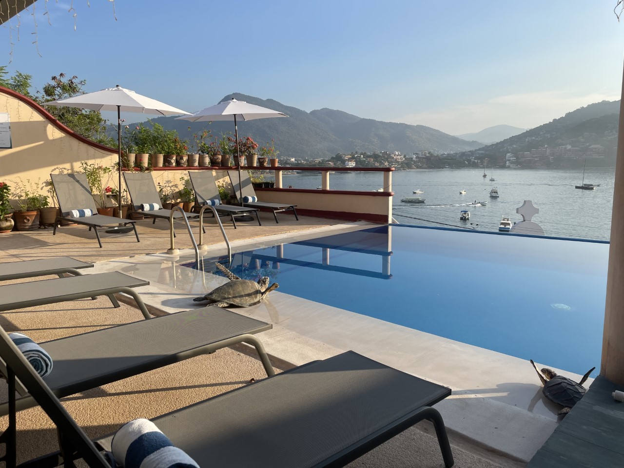 Villa del Pescador 30/33