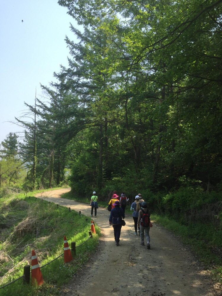 The Guesthouse Dmz Stay - Hostel 47/50