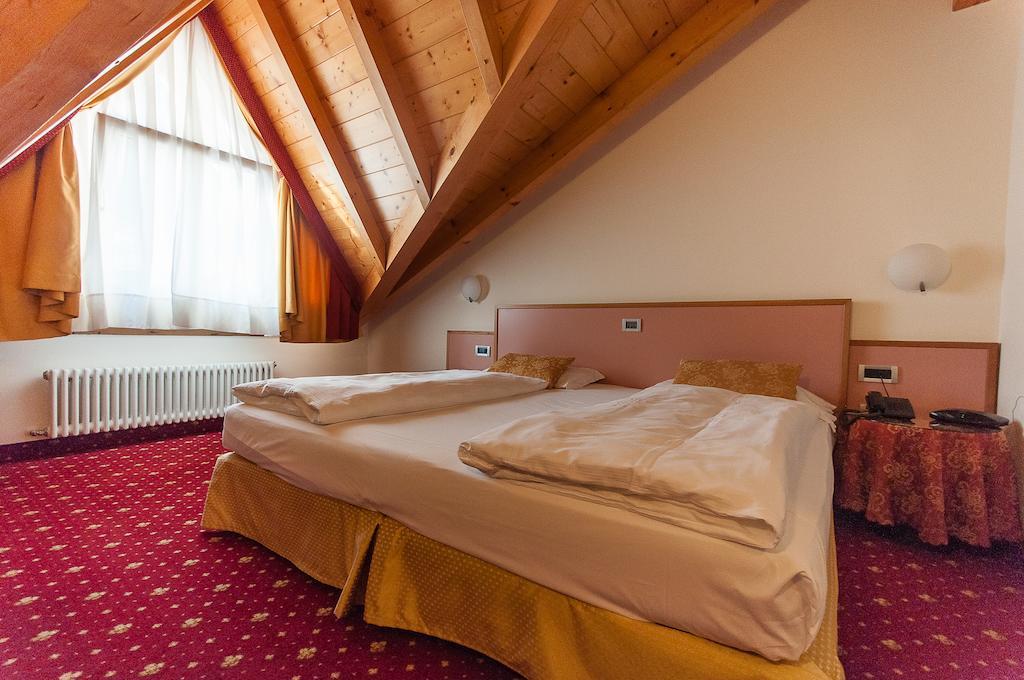 Alp Holiday Dolomiti 8/29
