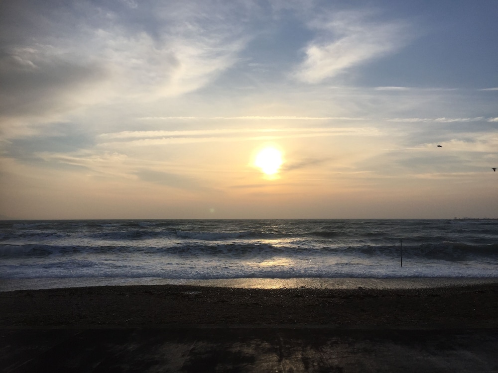 The Beach House 30/39