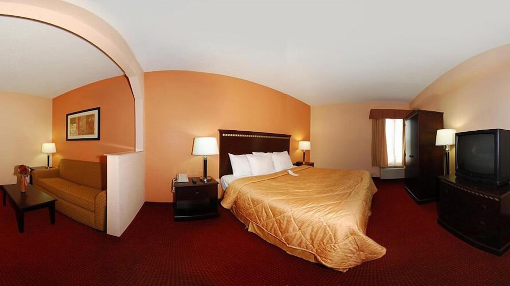 Comfort Inn and Suites Lincoln AL 19/61