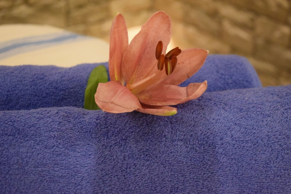 Myrtis Spa Hotel 39/68