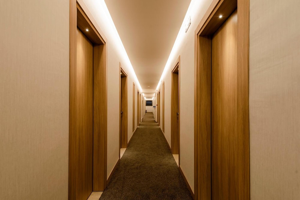 Acandia酒店(Acandia Hotel) 图片2