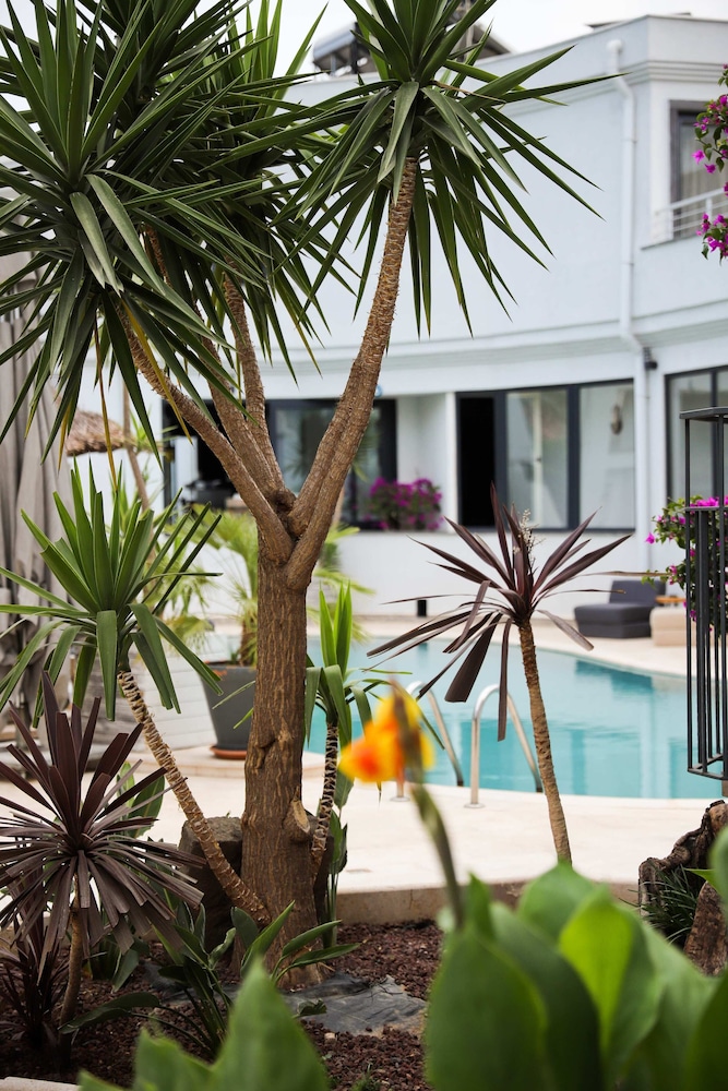 Elista Hotel & Spa 43/50