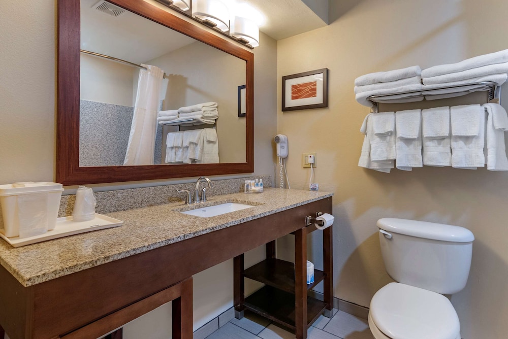 Comfort Inn Amite City 46/68
