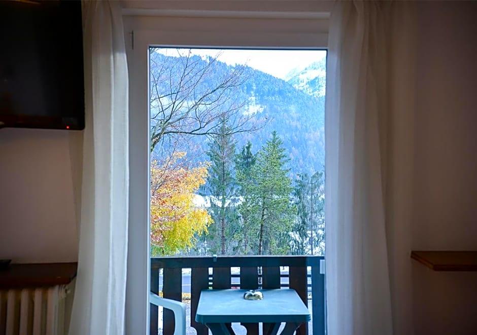HOTEL REGINA DELLE DOLOMITI 5/81