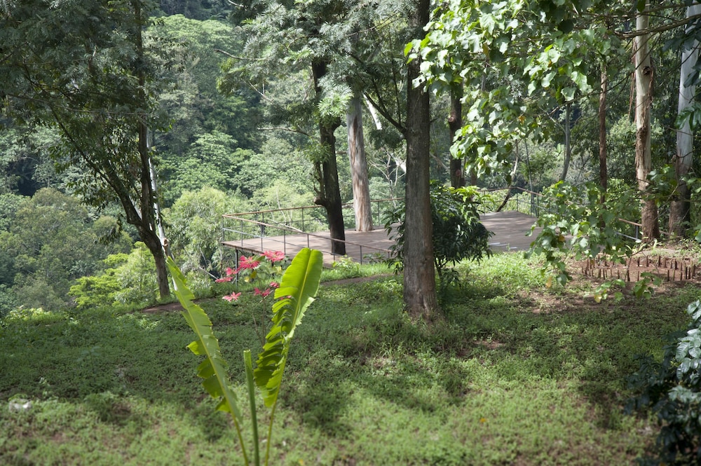 Kaliwa Lodge 24/49