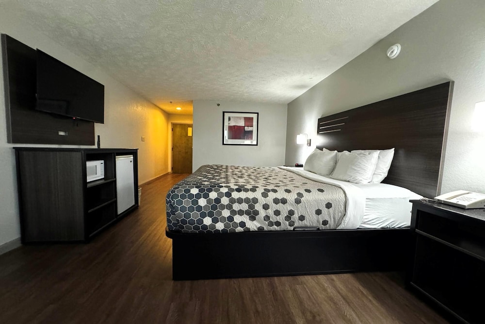 Room, King Bed, Smoking, Accessible